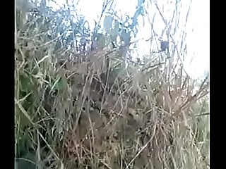 When the girl comes after her marriage, she came to the farm to meet her boy friend where to leave such a chance .